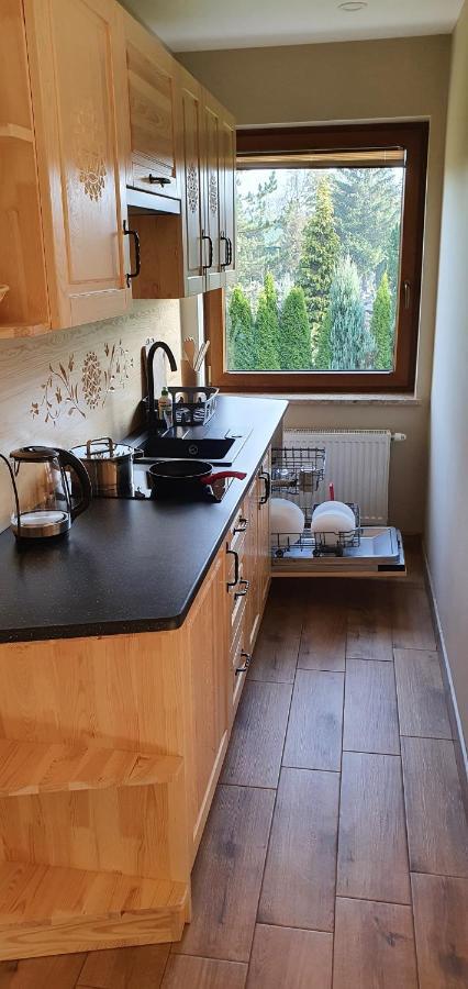 Apartament Orkisz ザコパネ エクステリア 写真